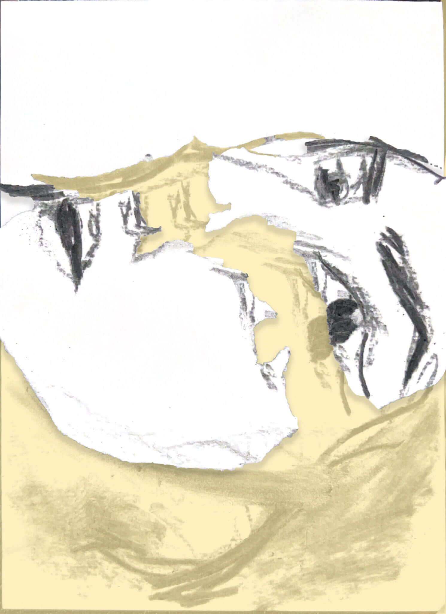 Project 2: 14 Variations